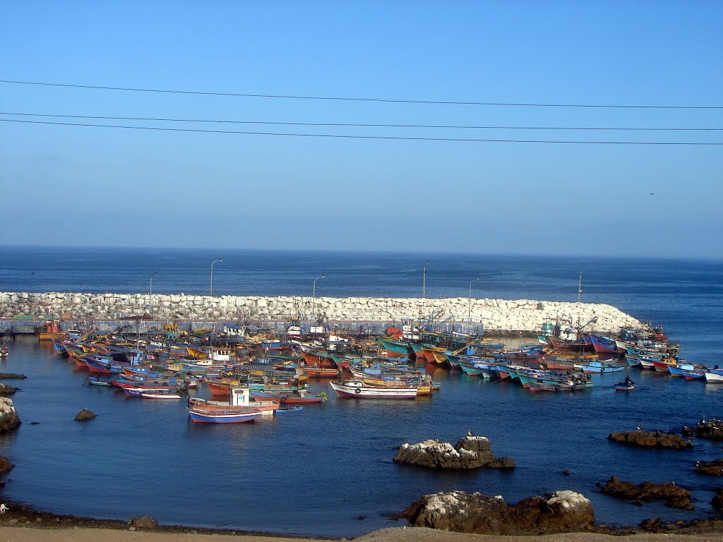 FACTIBILIDAD DEL MEGAPUERTO DE TACNA ESTÁ CASI LISTA