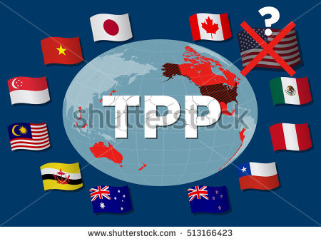 ONCE PAÍSES FIRMANTES DEL TPP SE REUNIRÁN EN JAPÓN PARA ANALIZAR VIGENCIA DEL ACUERDO